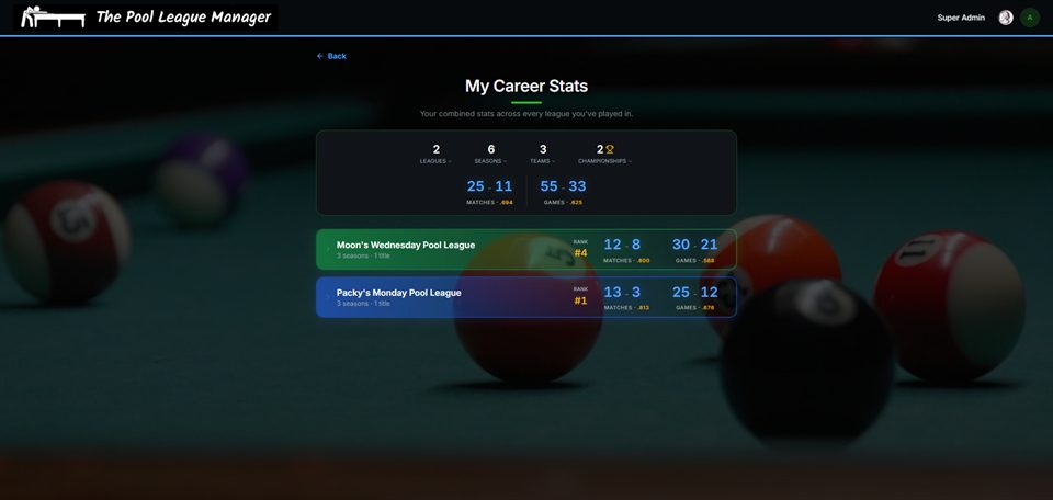 My Career Stats page on desktop with totals across leagues, seasons, teams and championships